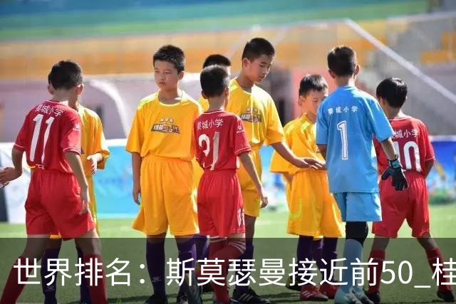 世界排名：斯莫瑟曼接近前50 桂川有人夺冠215位