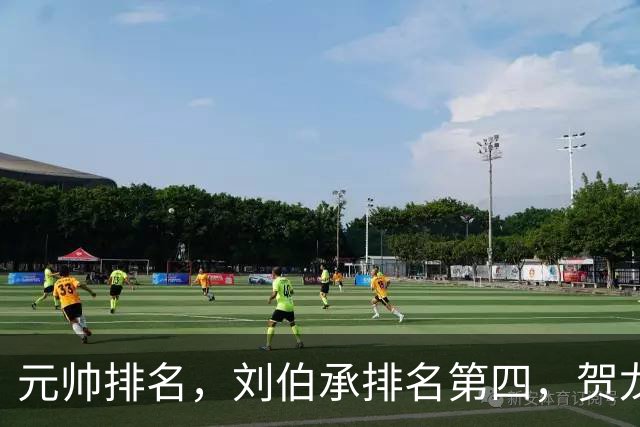 元帅排名，刘伯承排名第四，贺龙排名第五，为啥反而贺龙更受重用