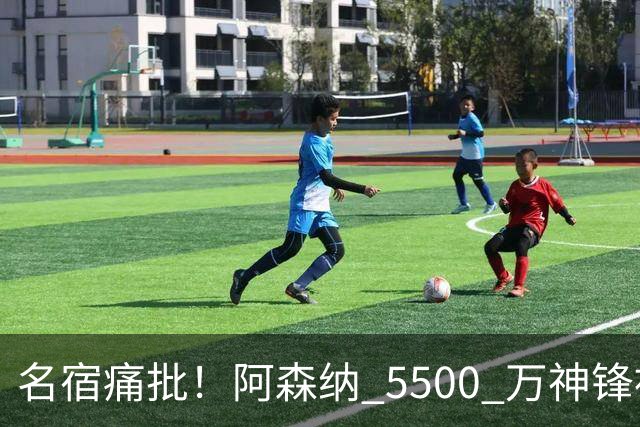 名宿痛批！阿森纳 5500 万神锋被彻底用废！阿尔特塔离谱毁人