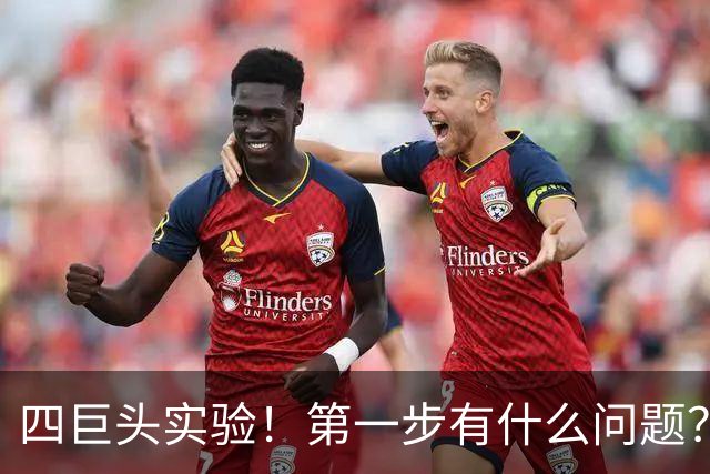 四巨头实验！第一步有什么问题？