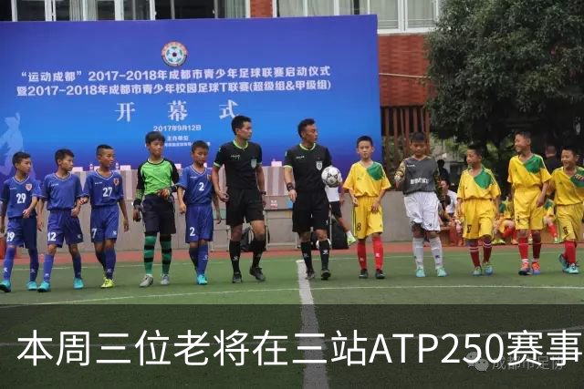 本周三位老将在三站ATP250赛事走完网球征途