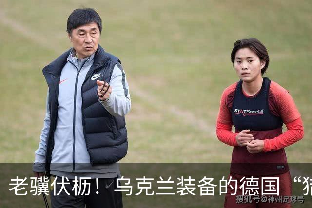 老骥伏枥！乌克兰装备的德国“猎豹”防空系统6战6捷，接连击落喷气动力无人机