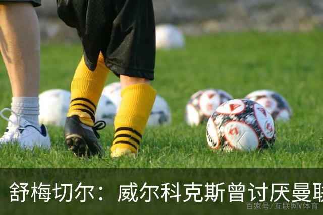舒梅切尔：威尔科克斯曾讨厌曼联，为何如今却在曼联任职